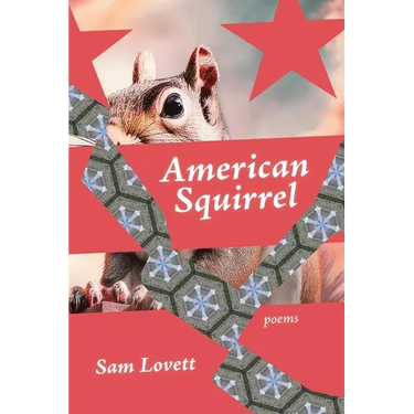American Squirrel
