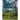 Breadfruit Agroforestry Guide: Planning and implementation of regenerative organic methods