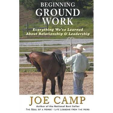 Beginning Ground Work: Everything We've Learned About Relationship and Leadership