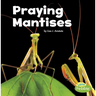 Praying Mantises