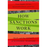 How Sanctions Work: Iran and the Impact of Economic Warfare
