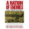Nation of Enemies: Chile Under Pinochet (Revised)