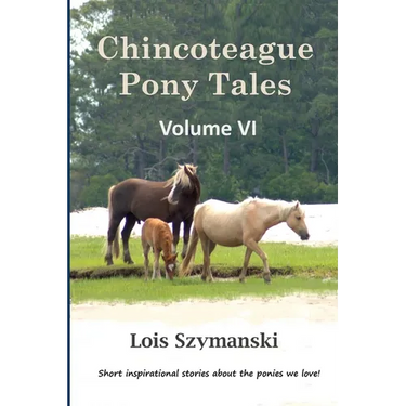 Chincoteague Pony Tales: Volume VI