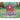 Do You Know His Name?
