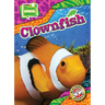 Clownfish