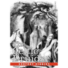 The Celtic Druids