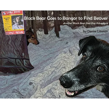 Black Bear Goes to Bangor to Find Beaver