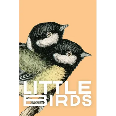 Little Birds