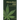 Miraculous CBD: The Essential Guide