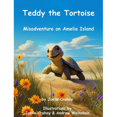 Teddy the Tortoise, Misadventure on Amelia Island