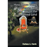 How Those Valley Experiences Will Lead You to the Promised Land