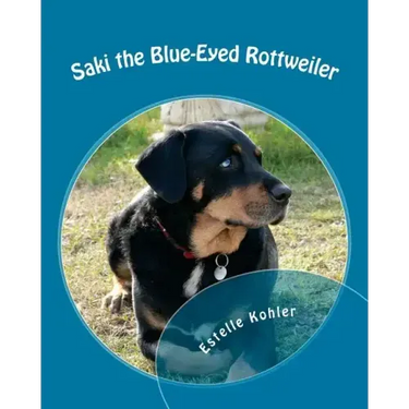 Saki the Blue-Eyed Rottweiler