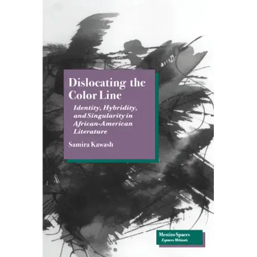 Dislocating the Color Line: Identity, Hybridity, and Singularity in African-American Narrative