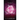 The Rose Stone