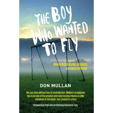 The Boy Who Wanted to Fly