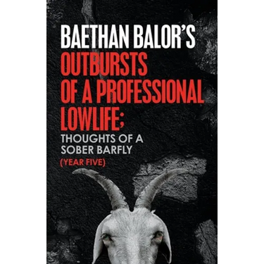 Outbursts of a Professional Lowlife; Thoughts of a Sober Barfly