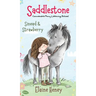 Saddlestone Connemara Pony Listening School Sinead and Strawberry