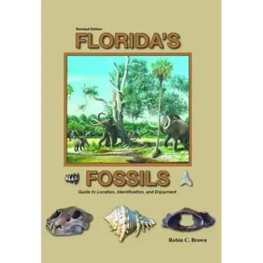 Florida's Fossils