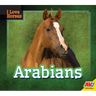 Arabians