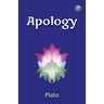 Apology