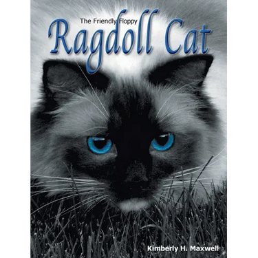 The Friendly Floppy Ragdoll Cat