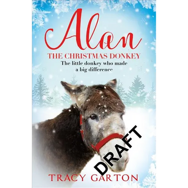 Alan The Christmas Donkey: The little donkey who made a big difference