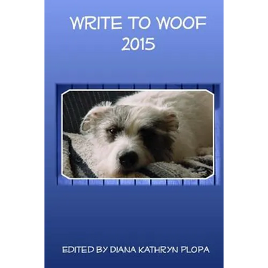 Write To Woof: 2015