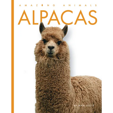 Alpacas