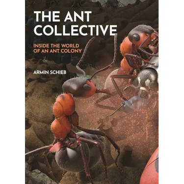 The Ant Collective: Inside the World of an Ant Colony