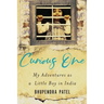 Curious One: My Adventures As a Little Boy in India