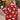 e210edcc-47e2-4195-be79-d35fd584457e-Max