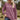 e2b2b3f6695c43f1a2b22772434dfe37-Max