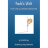 David's Visit: A book to help you understand supervised visits