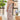 e62f2978-70c5-41c2-acd8-c455d2c637f9-Max