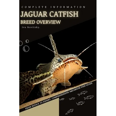 Jaguar Catfish: From Novice to Expert. Comprehensive Aquarium Fish Guide