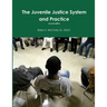 Juvenile Justice System and Practice