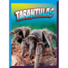 Tarantulas