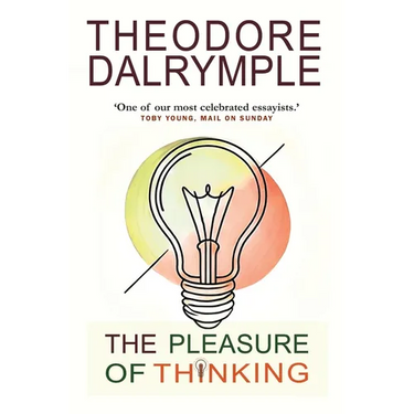 The Pleasure of Thinking