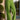 e8c63c06-ca03-4901-be5d-637cf1c23e1b-Max