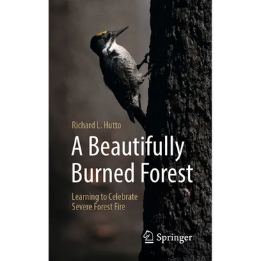 A Beautifully Burned Forest: Learning to Celebrate Severe Forest Fire