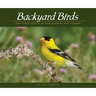 Backyard Birds: Welcomed Guests at Our Gardens and Feeders