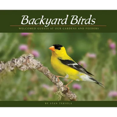 Backyard Birds: Welcomed Guests at Our Gardens and Feeders