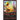 Family Myths: Augustus Family Trilogy Book 3