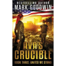 United We Stand: A Post-Apocalyptic Novel of the Coming Civil War in America