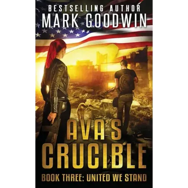 United We Stand: A Post-Apocalyptic Novel of the Coming Civil War in America