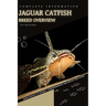 Jaguar Catfish: From Novice to Expert. Comprehensive Aquarium Fish Guide
