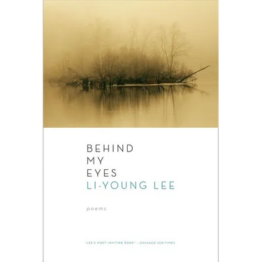 Behind My Eyes