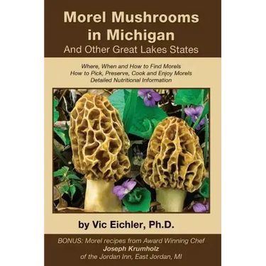 Morel Mushrooms in Michigan And Other Great Lakes States