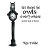 Let There Be Owls Everywhere: Another Book of Poems