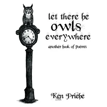 Let There Be Owls Everywhere: Another Book of Poems